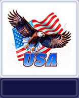 Flag-Eagle-USA-Filler Image