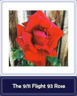 Flight 93 Rose Logo