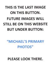Message for Emerson Website Photos